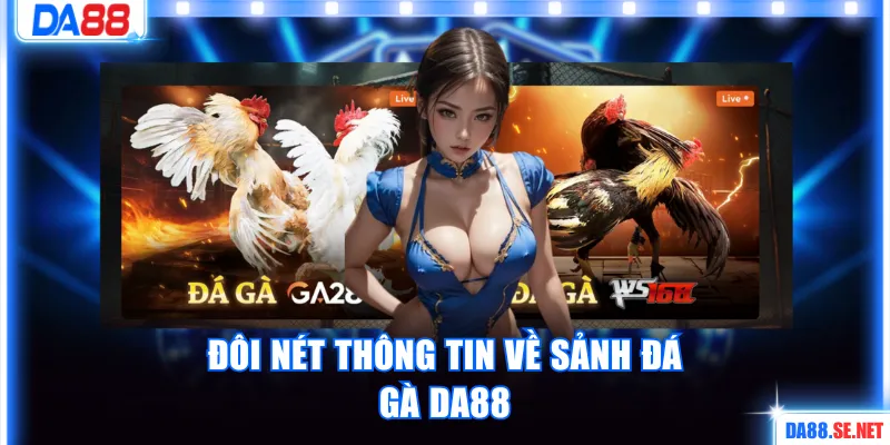 Đôi nét thông tin về sảnh đá gà DA88 